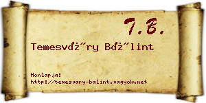 Temesváry Bálint névjegykártya