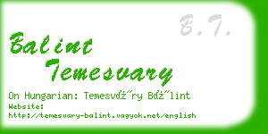 balint temesvary business card